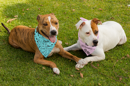 Personalized Pet Bandana