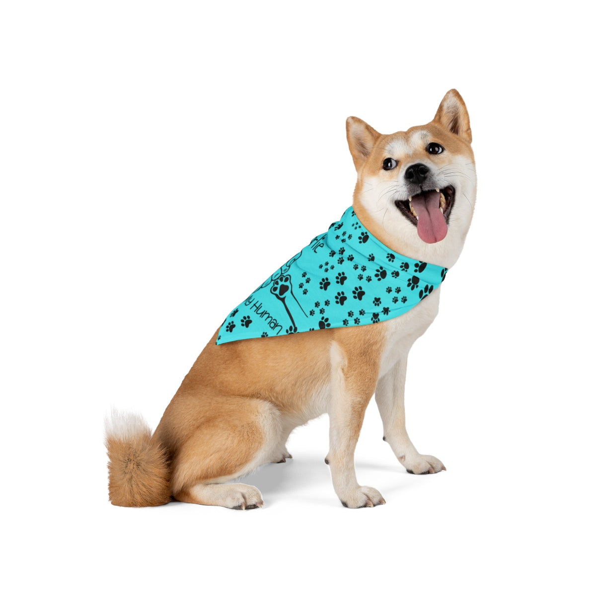 Personalized Pet Bandana