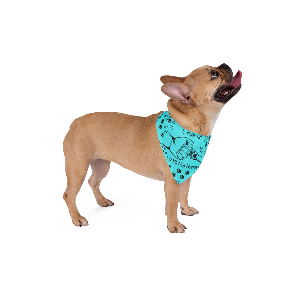 Personalized Pet Bandana