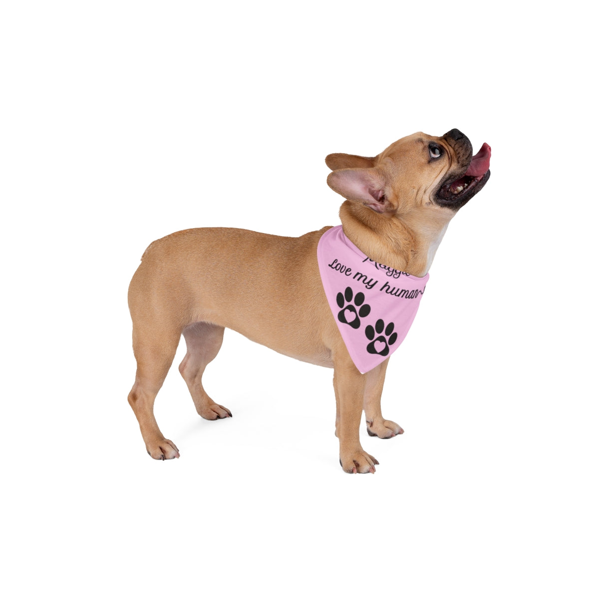 Personalized Pet Bandana